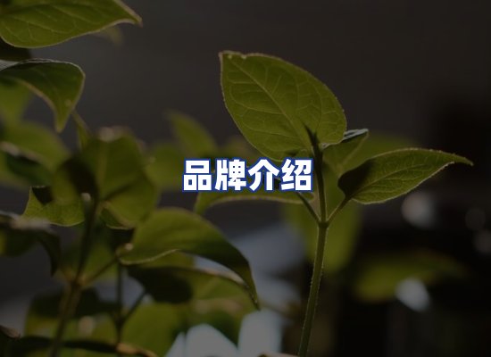 运营团队
